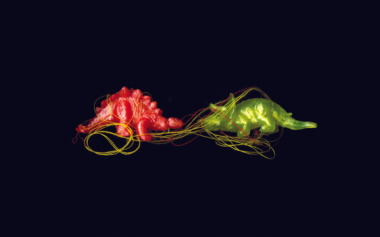 The Tiny Things (Set of 3)